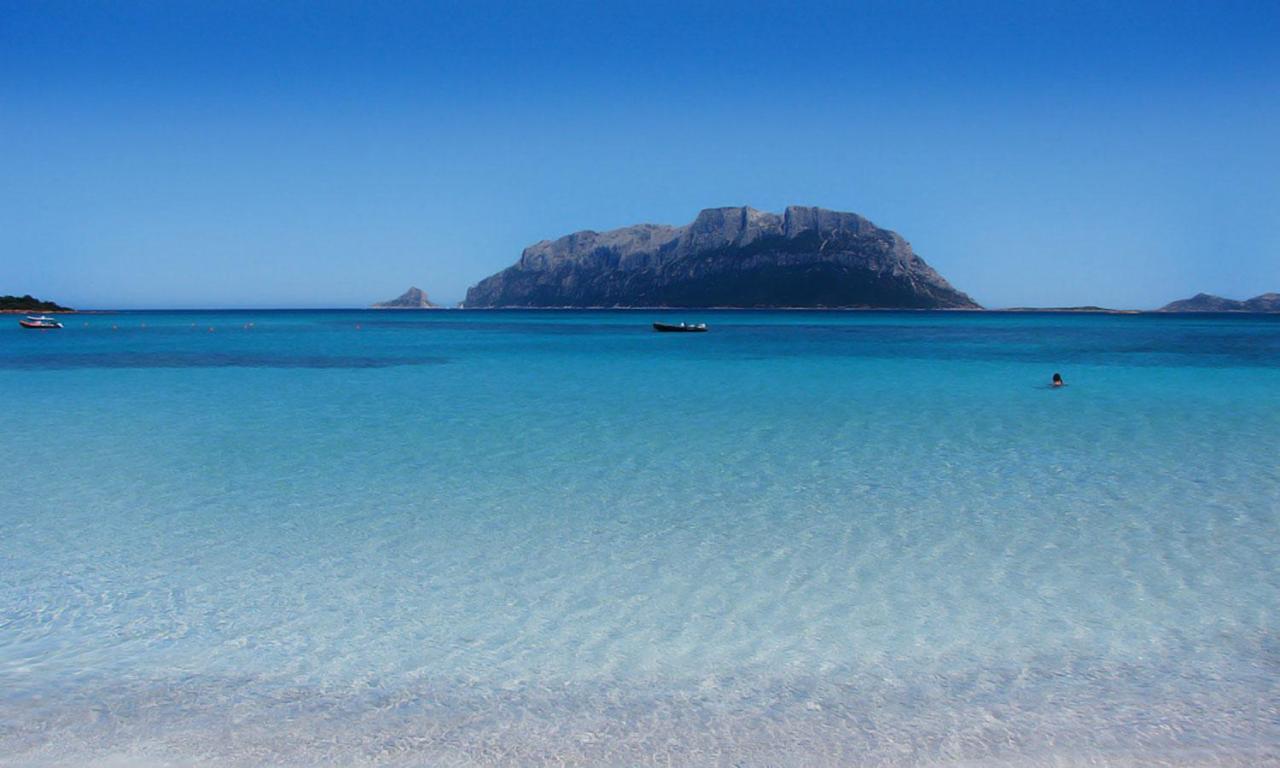 Vila Pittulongu, Trilocale Vista Mare Olbia Exteriér fotografie